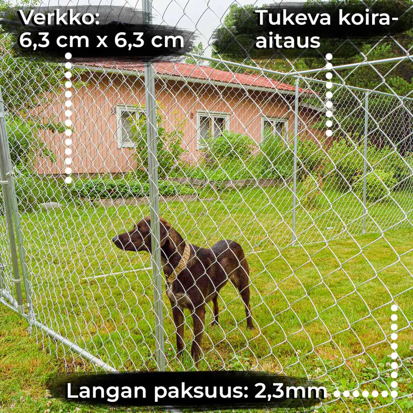 Trekker koira-aitaus 6x3 m harmaa - 3