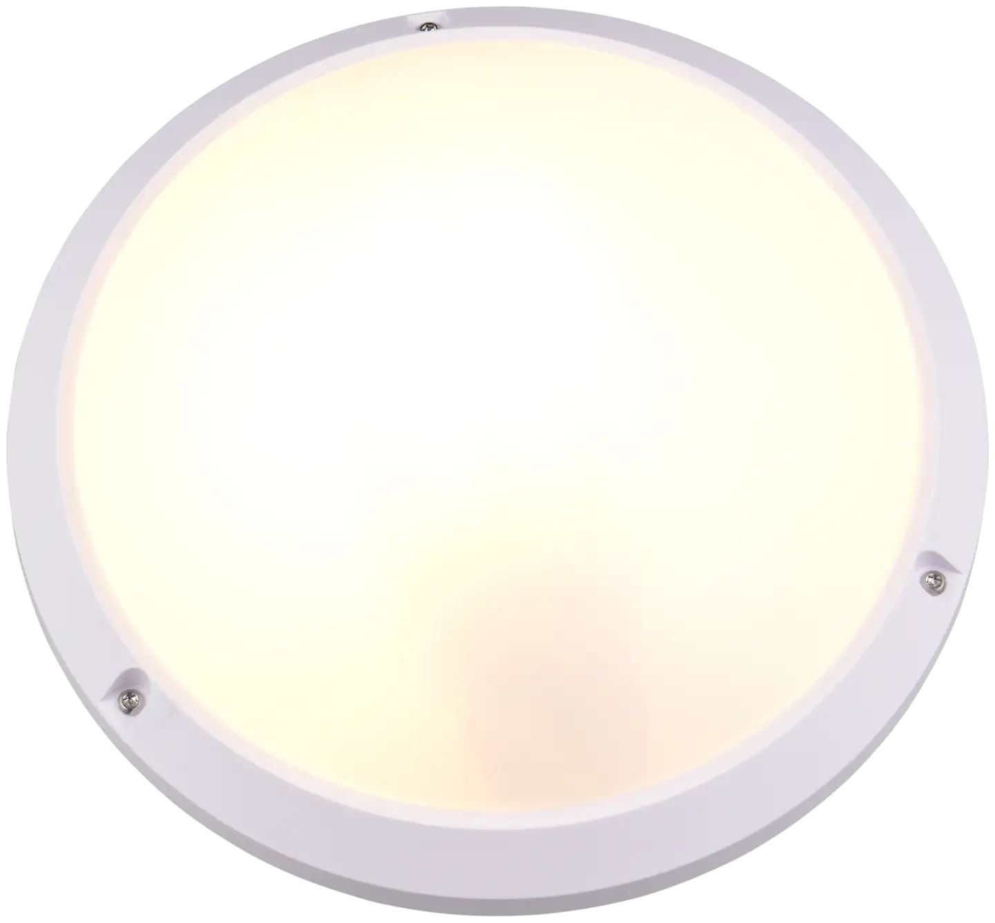 Trio ulkovalaisin Ambato 27 valkoinen IP65 iskunkestävä IK10 seinä- ja kattoasennus - 3