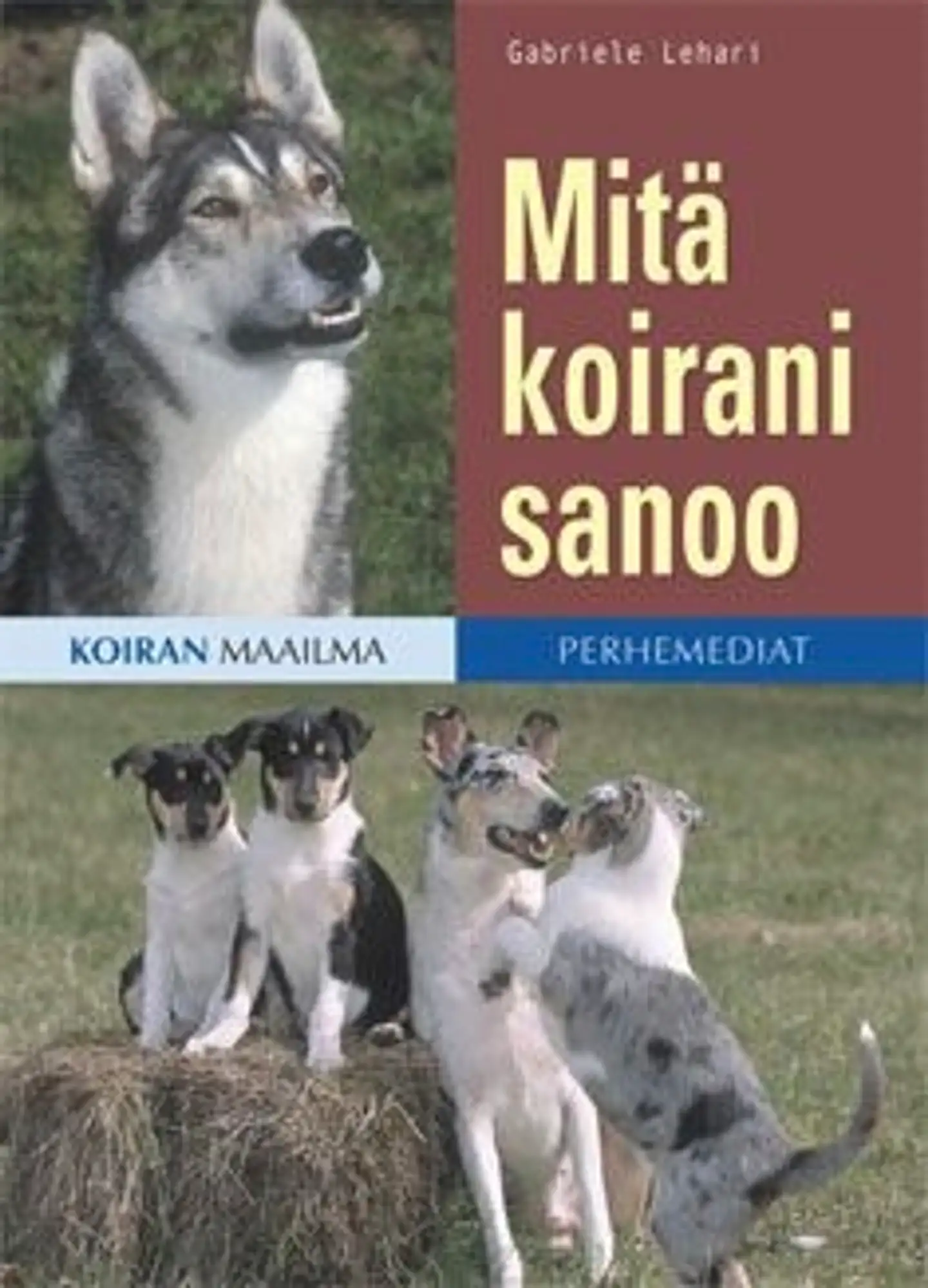 Lehari, Mitä koirani sanoo?