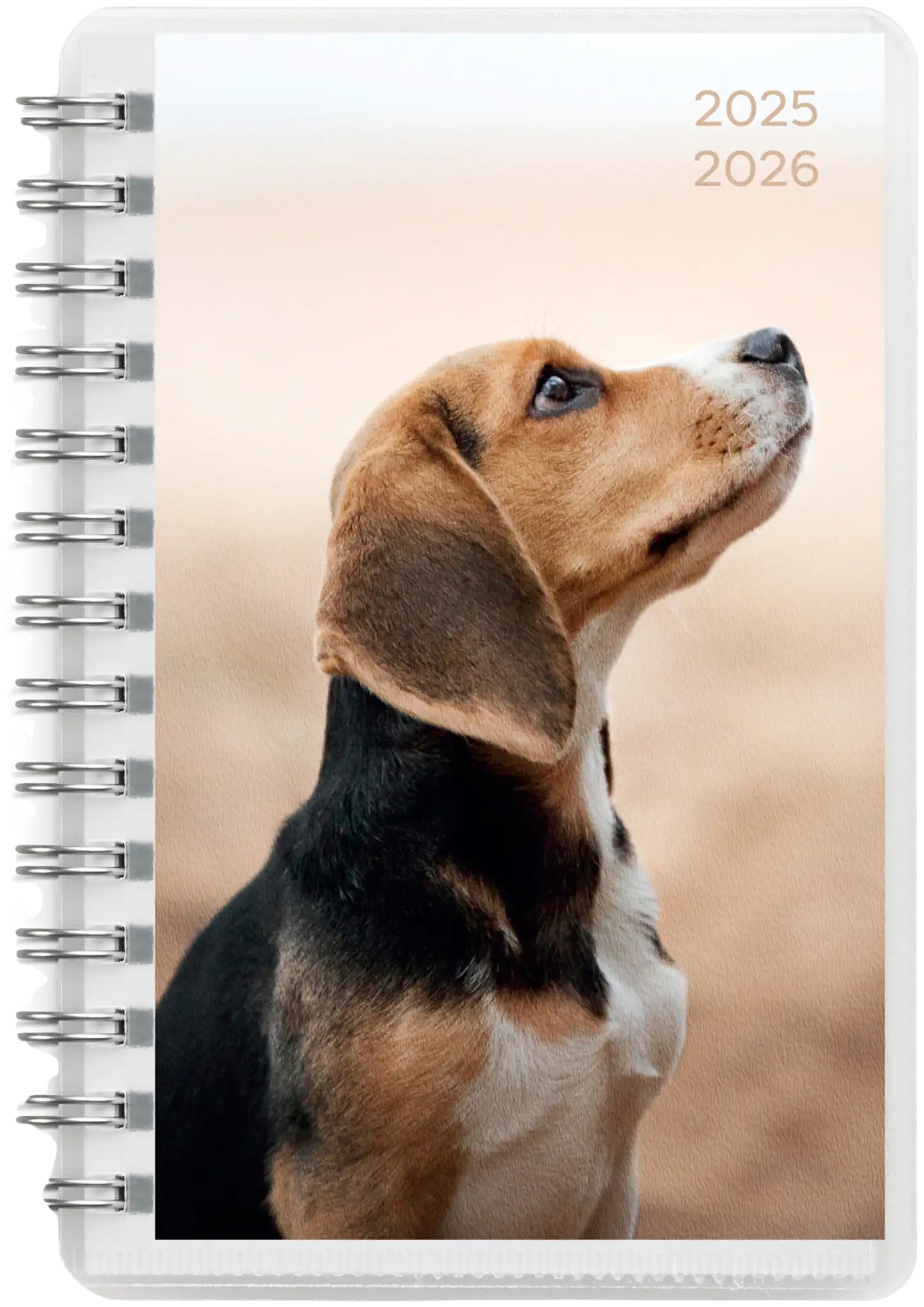 Burde Kalenteri 25/26 Compact Pets - 1
