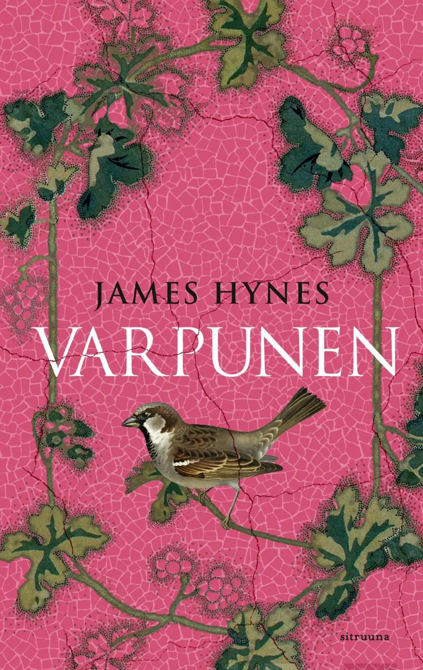 Hynes, Varpunen