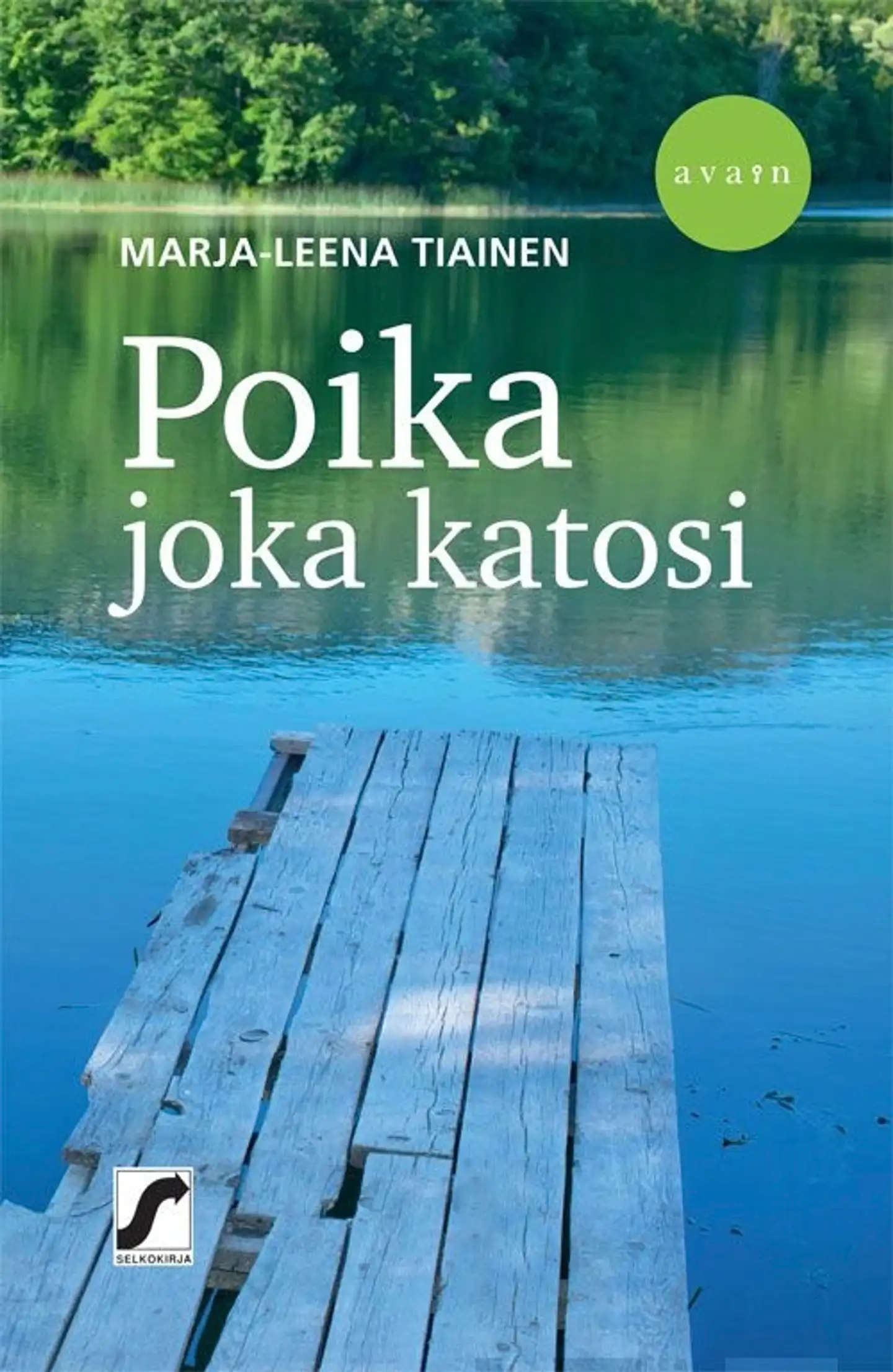 Tiainen, Poika joka katosi (selkokirja)