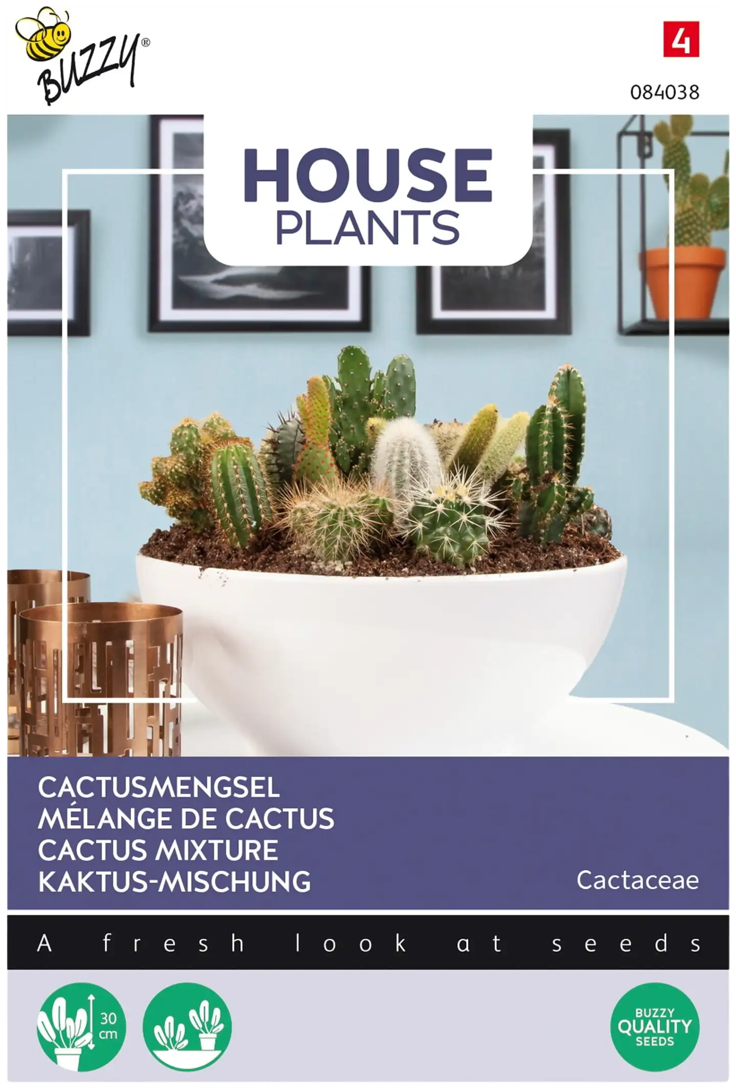 Buzzy® House plants Cactaceae, kaktussekoitus