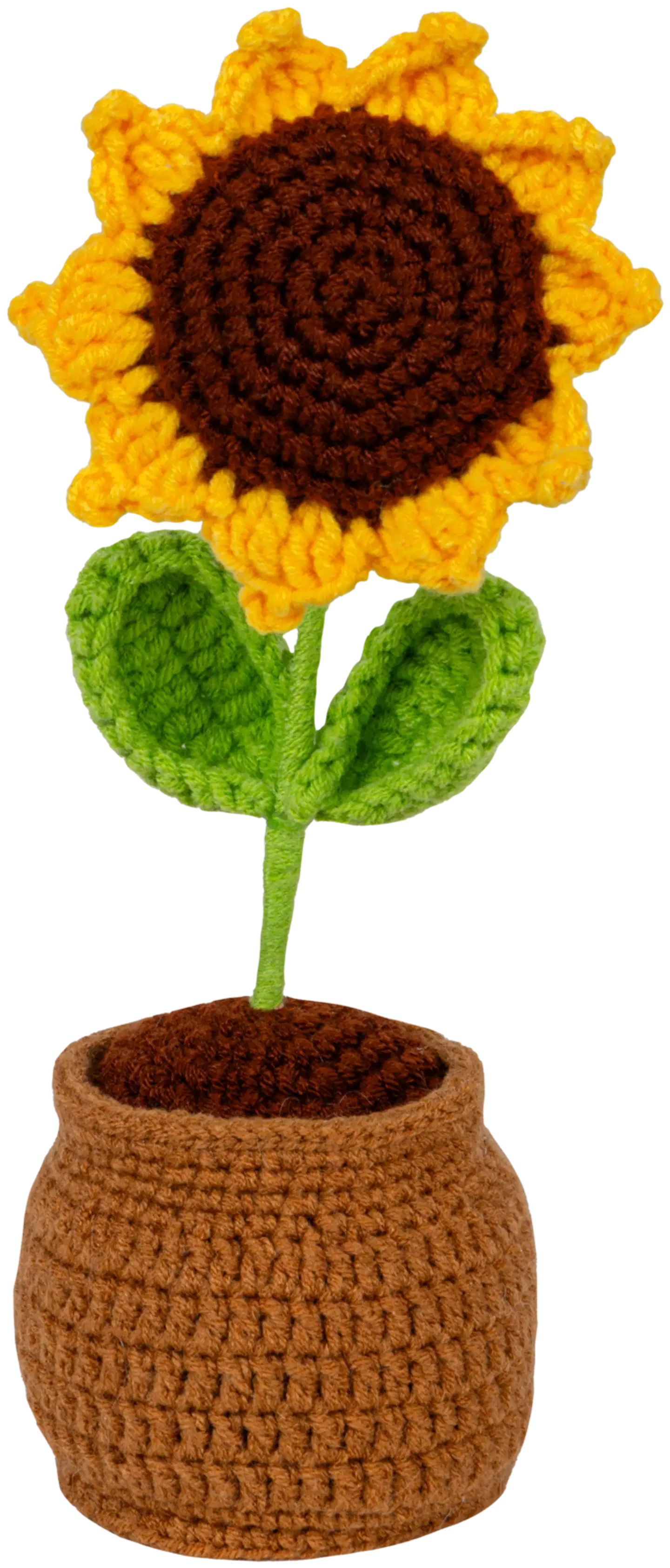 Virkattu auringonkukka ruukussa