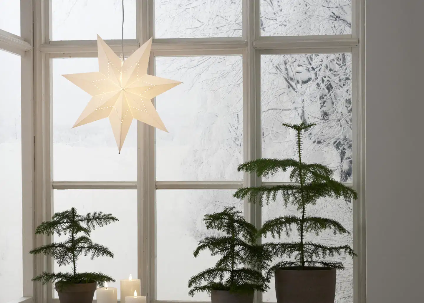 Star Trading paperitähti Lysa - 2