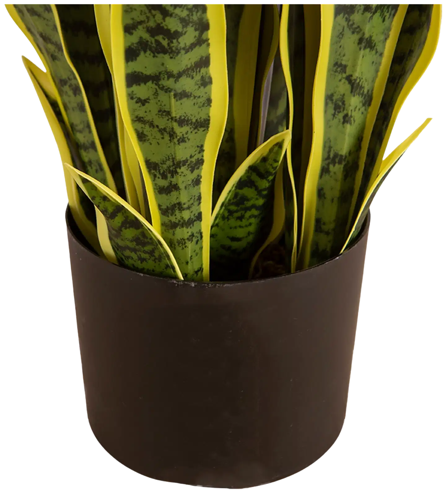 Lykke tekokasvi snake plant 65cm - 3