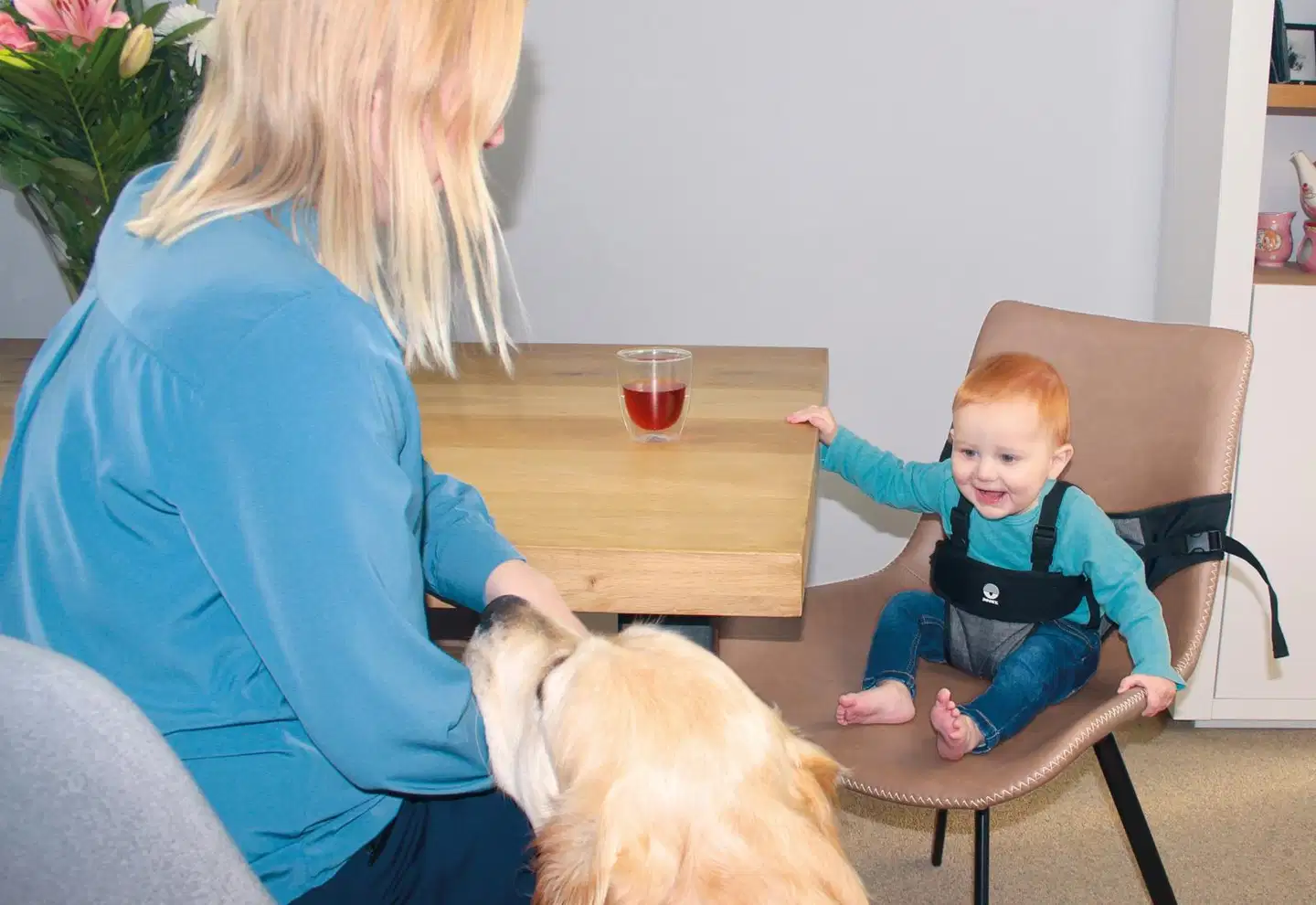 Dooky Matkasyöttötuioli - 10