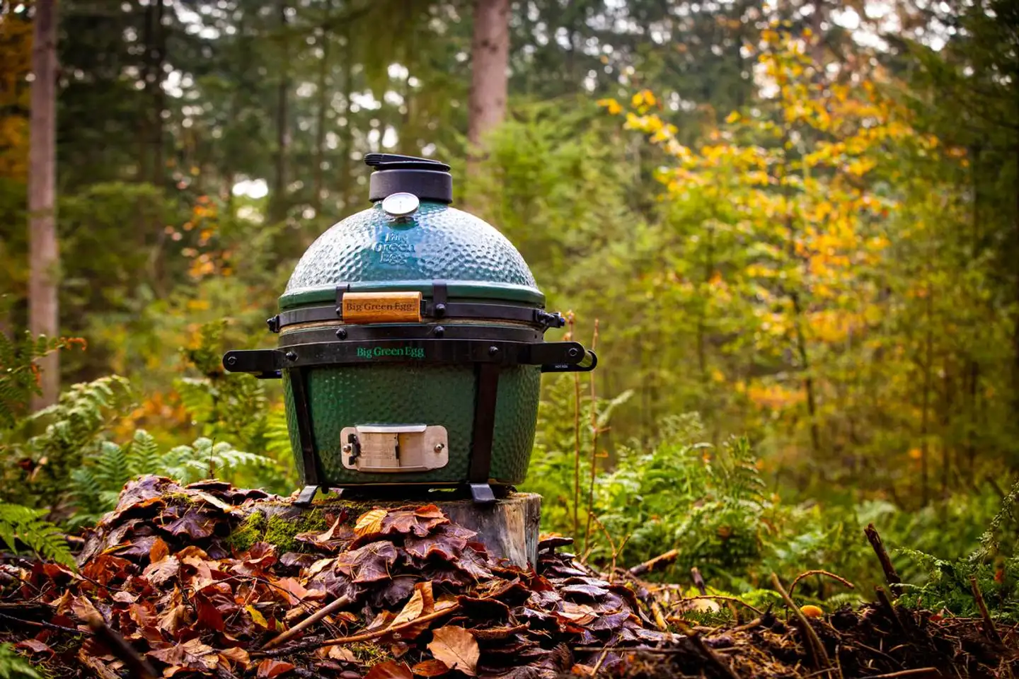 Big Green Egg grilli MiniMax - 7