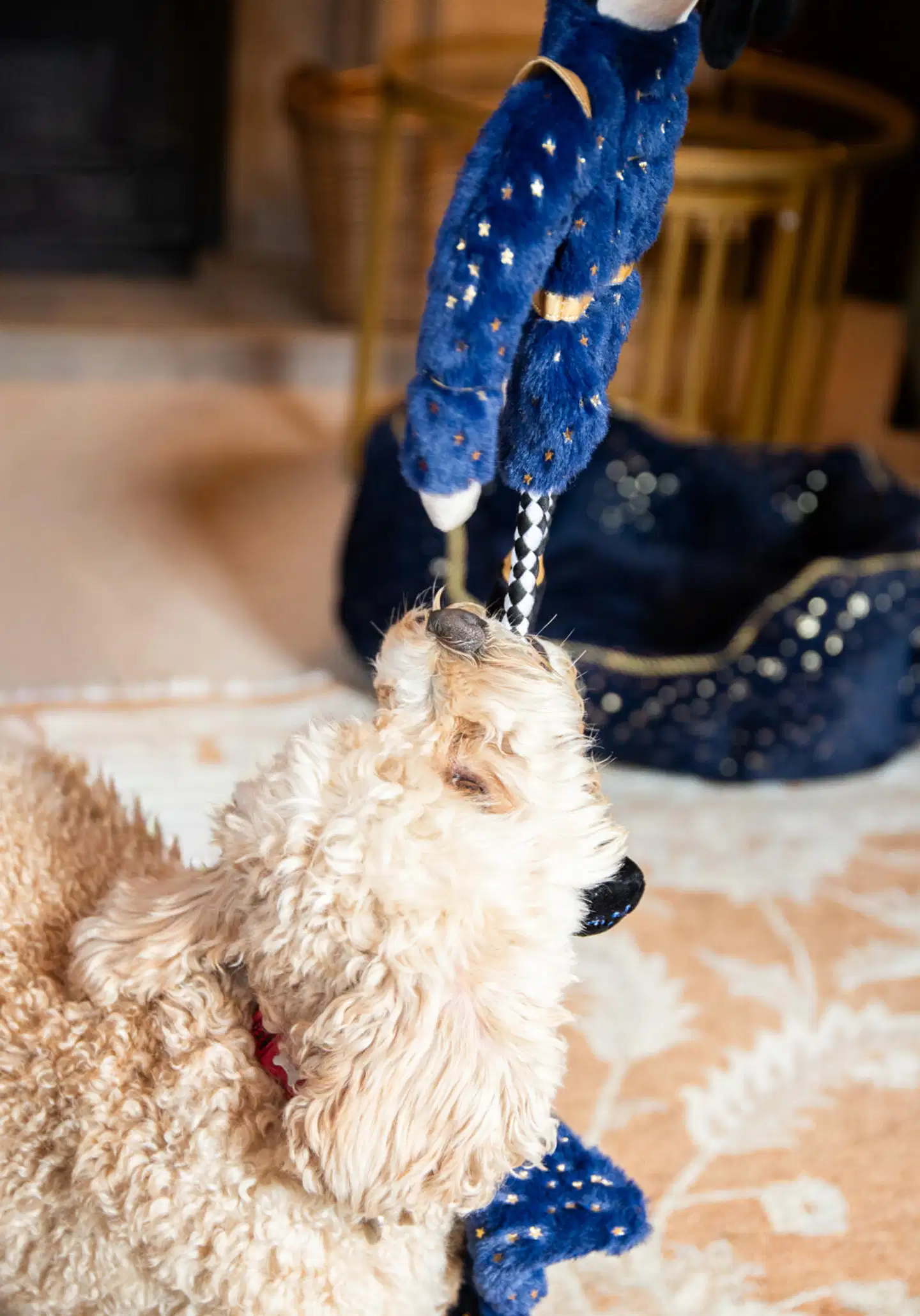 Rosewood koiranlelu Nermal Nutcracker - 7