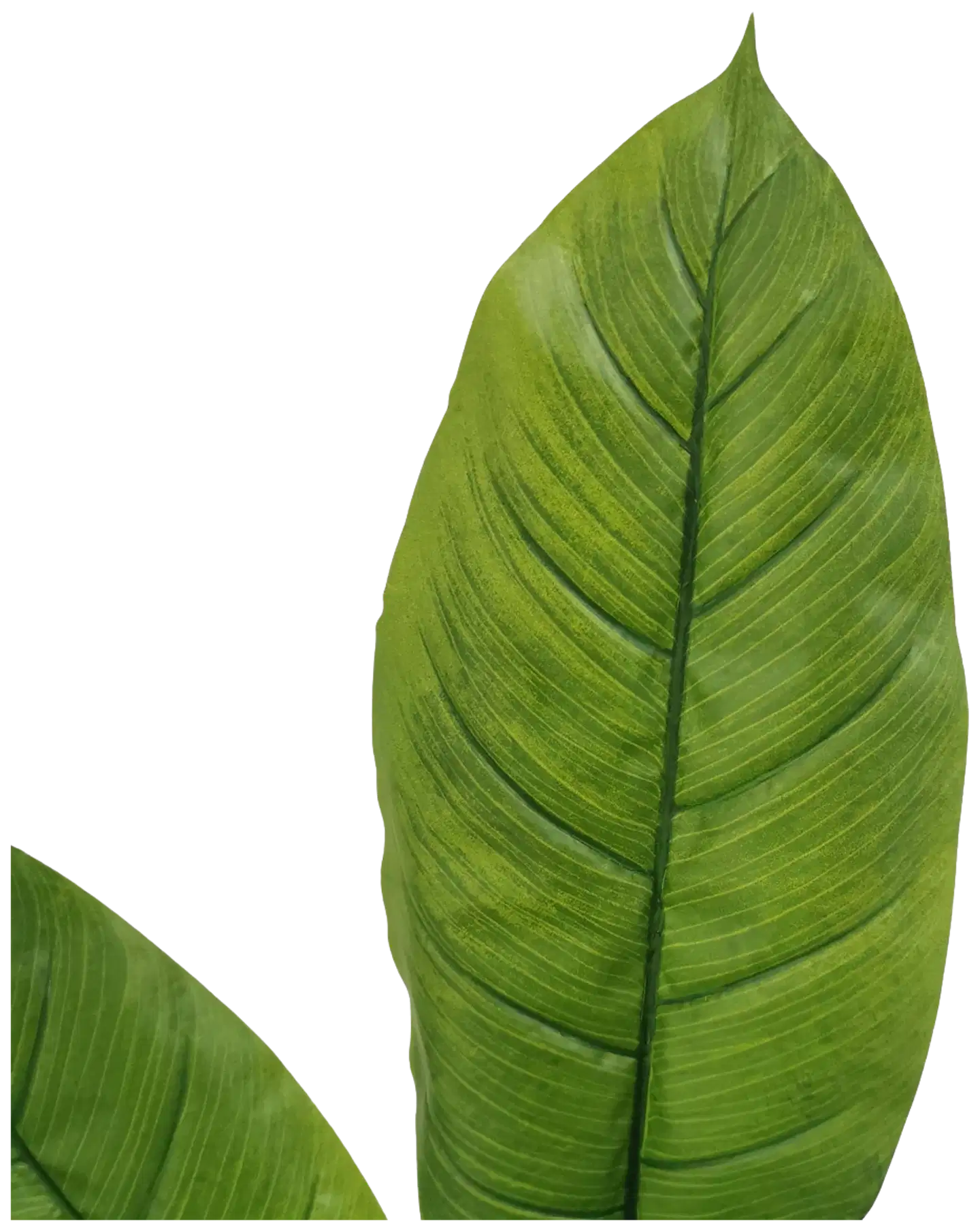Lykke tekokasvi peace lily 105cm - 4