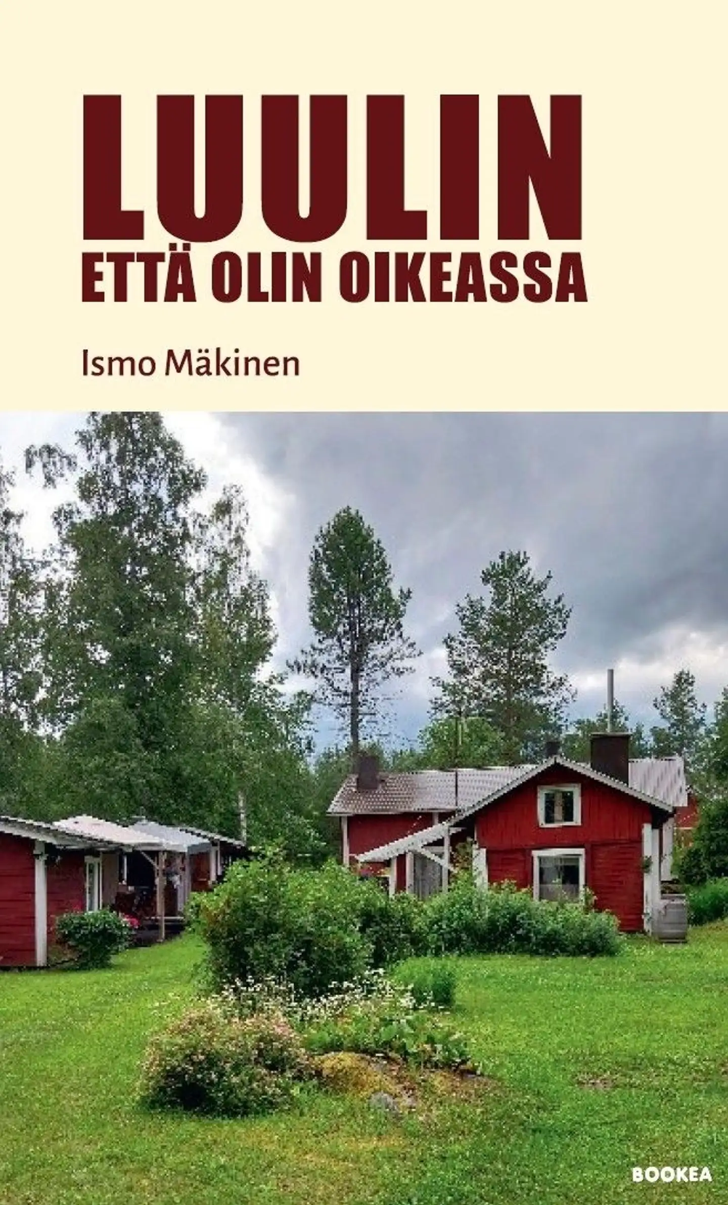Mäkinen, Luulin, että olin oikeassa