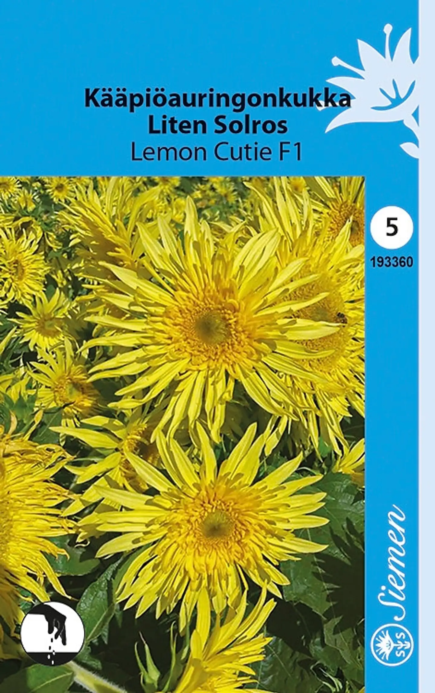 Siemen kääpiöauringonkukka Lemon Cutie F1