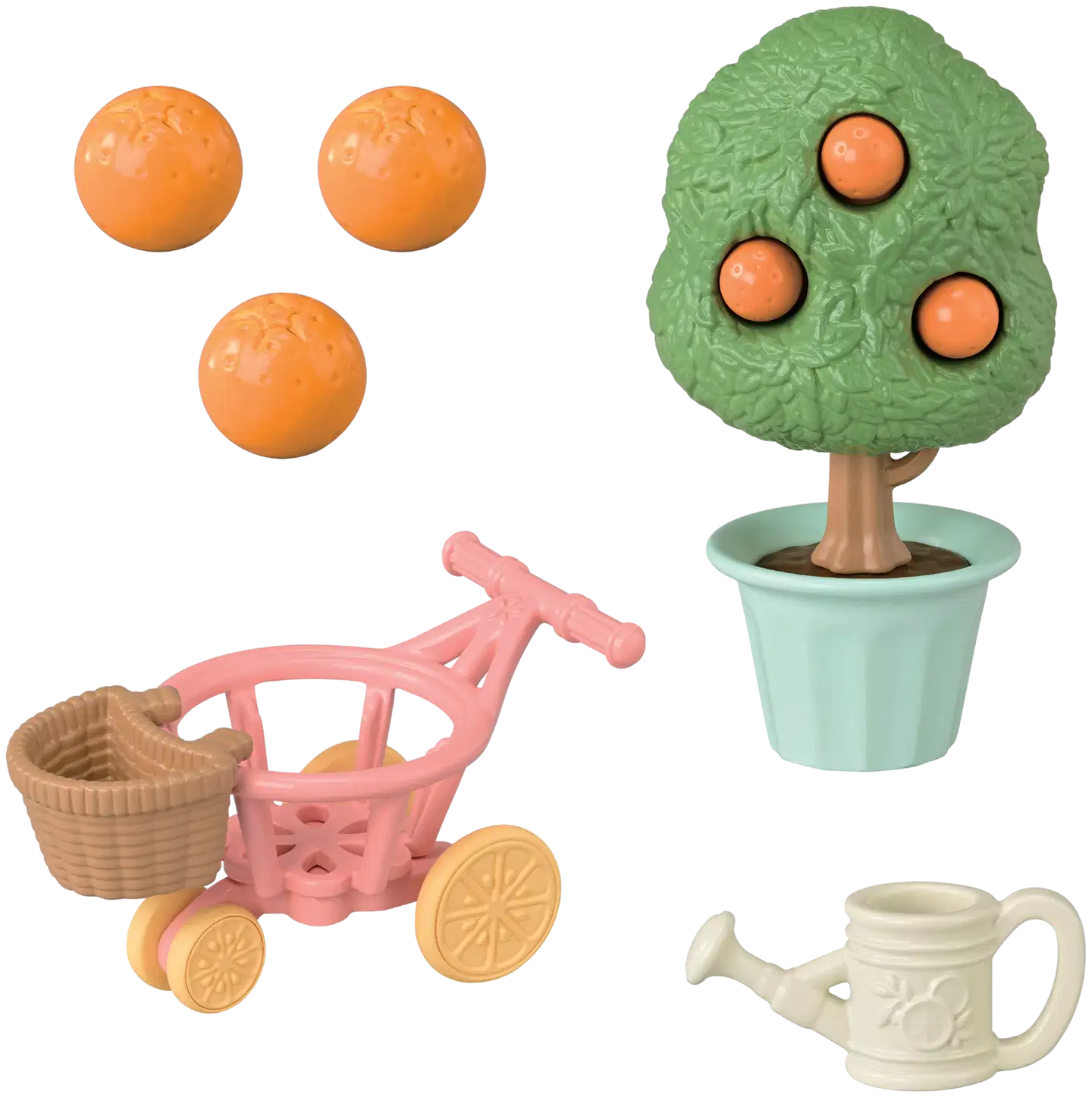 Sitruslintuperhe - 5