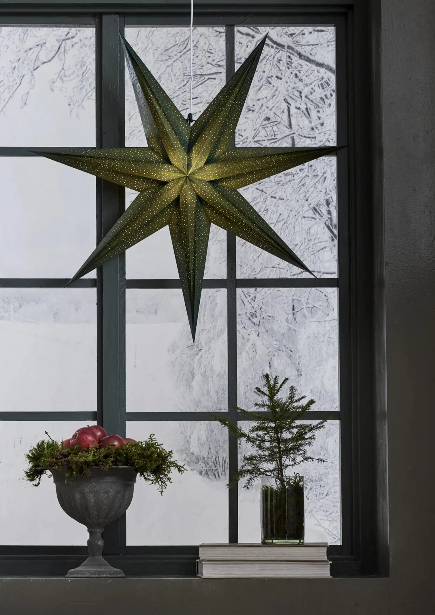 Star Trading paperitähti Holly 75 cm - 2
