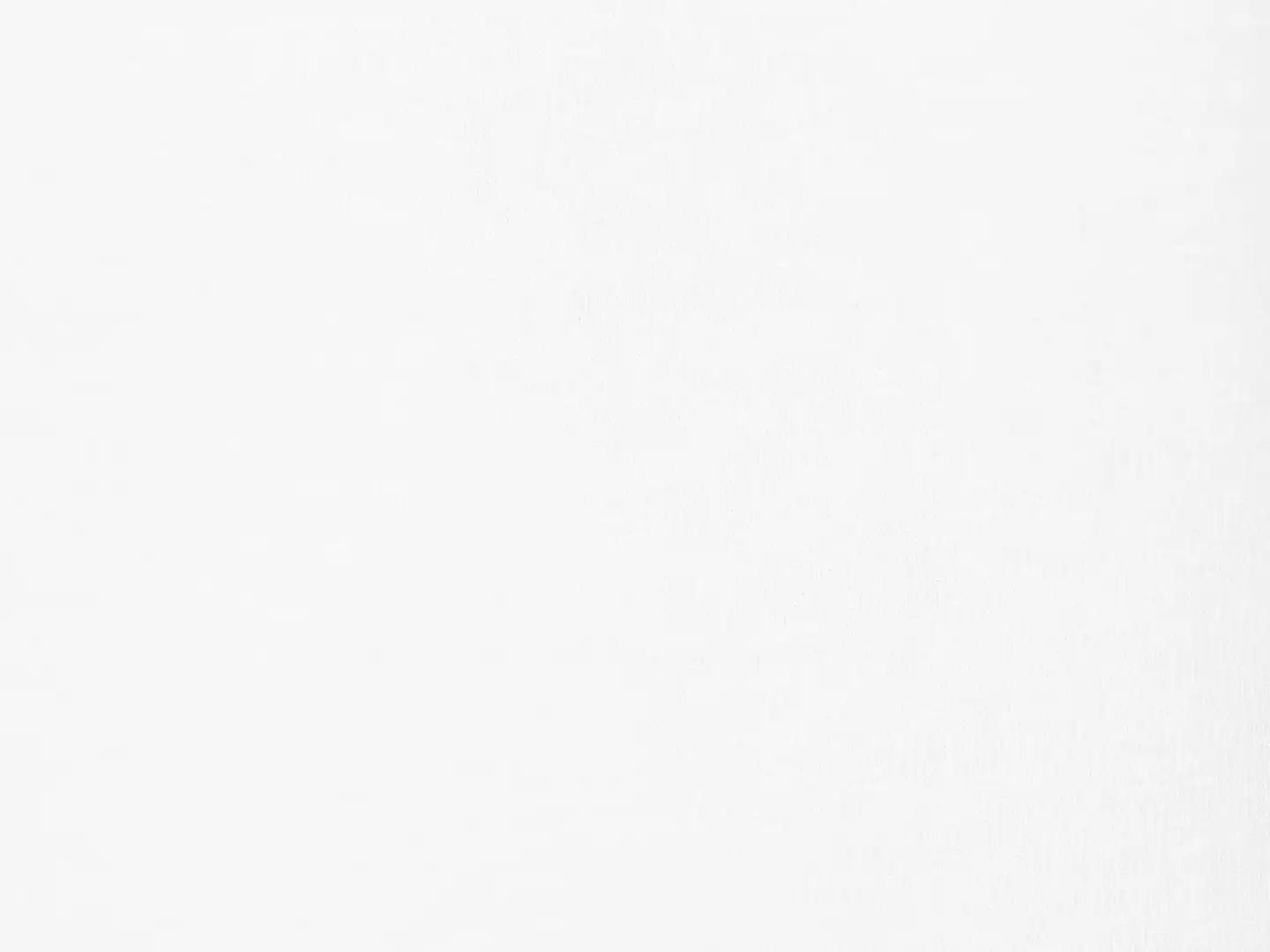 House naisten t-paita Didi-O 2-pack - WHITE - 5