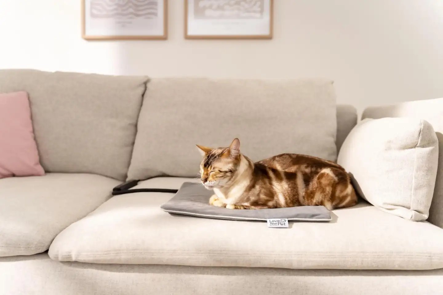 Beurer PP210 Lilli lemmikin lämpömatto S-koko - 7