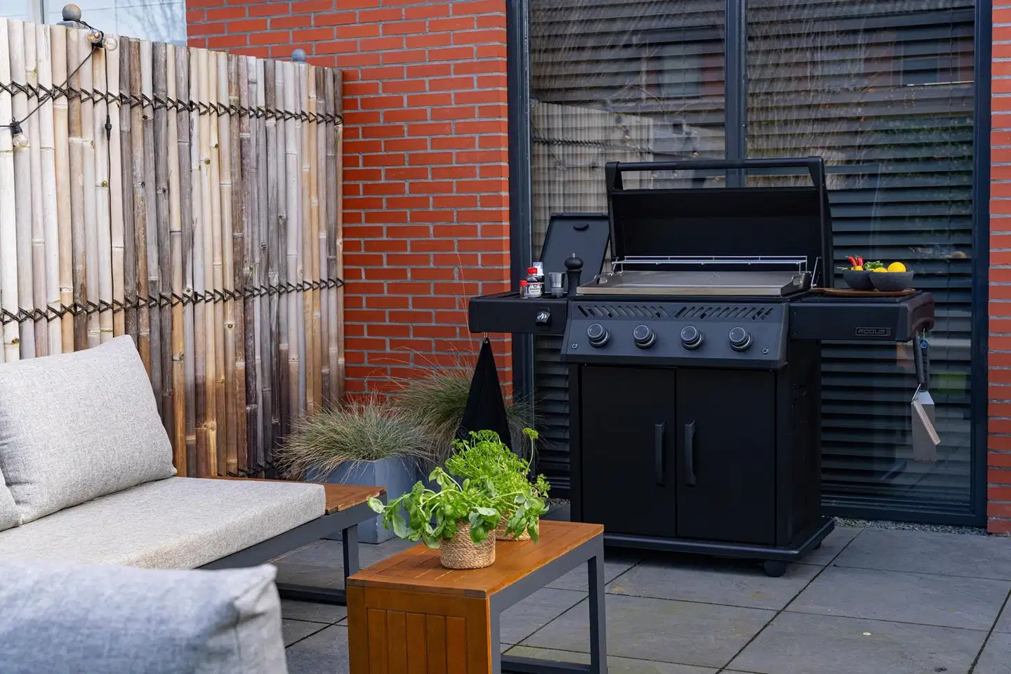 Napoleon Rogue Plancha 30 kaasugrilli - 14