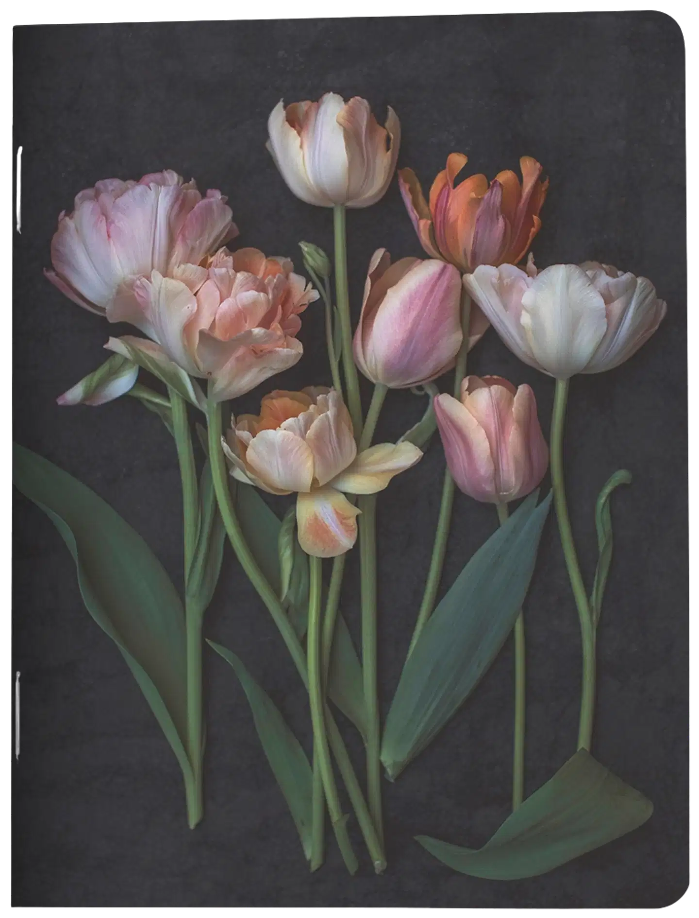 VIHKO 9x12 PUTINKI JÄRVENPÄÄ Tulips 2019