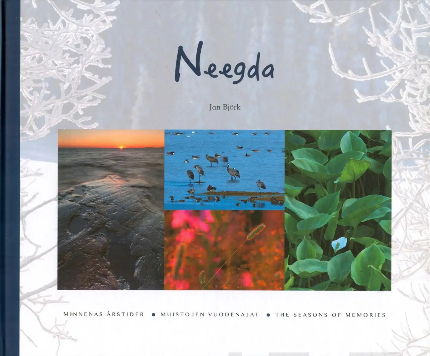 Björk, Neegda