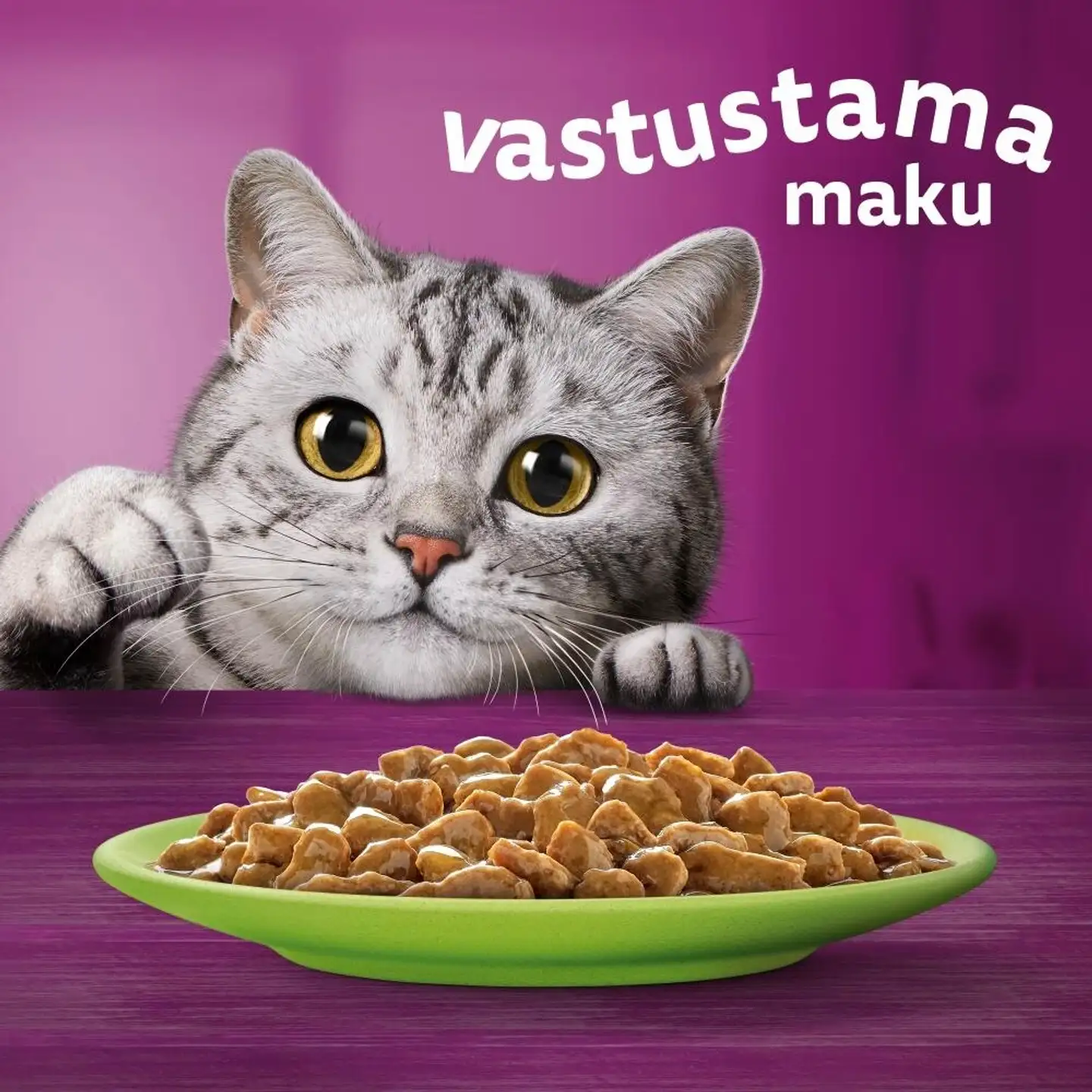 Whiskas 7+ Suosikit Lajitelma kastikkeessa (12 x 85 g) - 2
