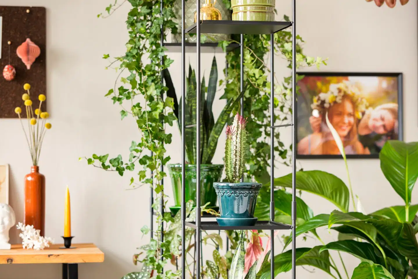 Kekkilä Viherhyllykkö 168 cm - 2