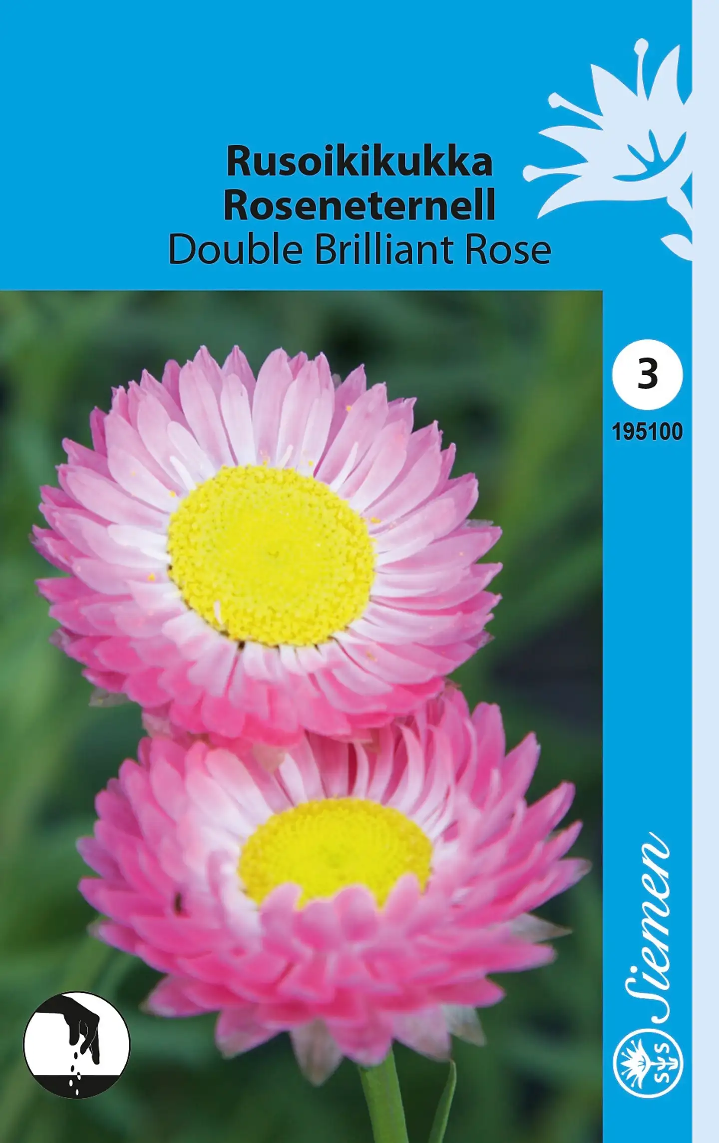 Siemen rusoikikukka Double Brilliant Rose