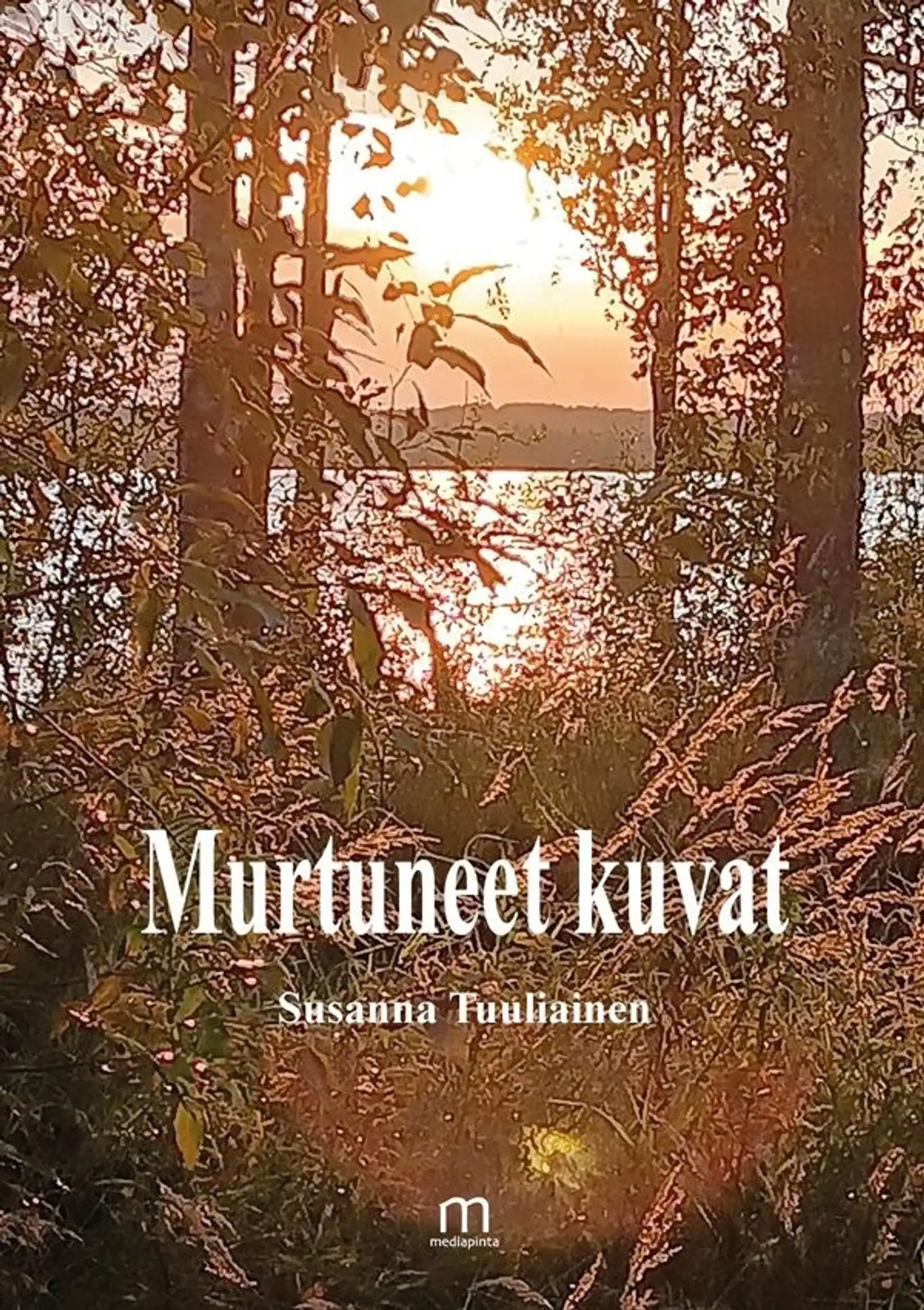Tuuliainen, Murtuneet kuvat