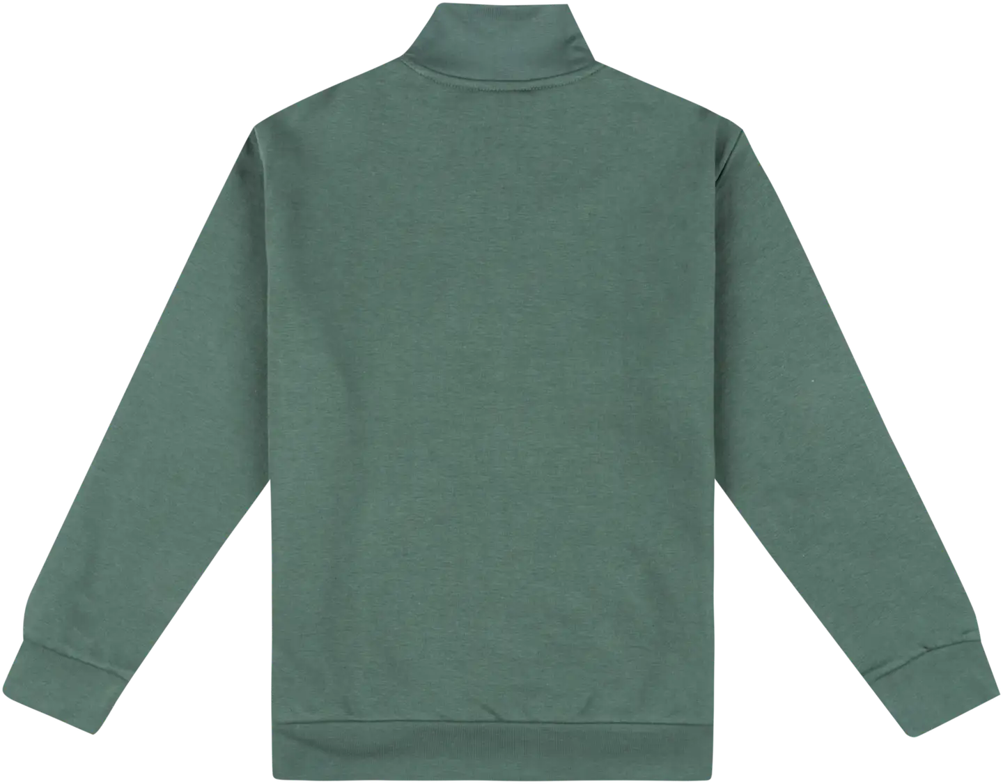 House nuorten collegepusero 23PH292506 - Thyme green - 2