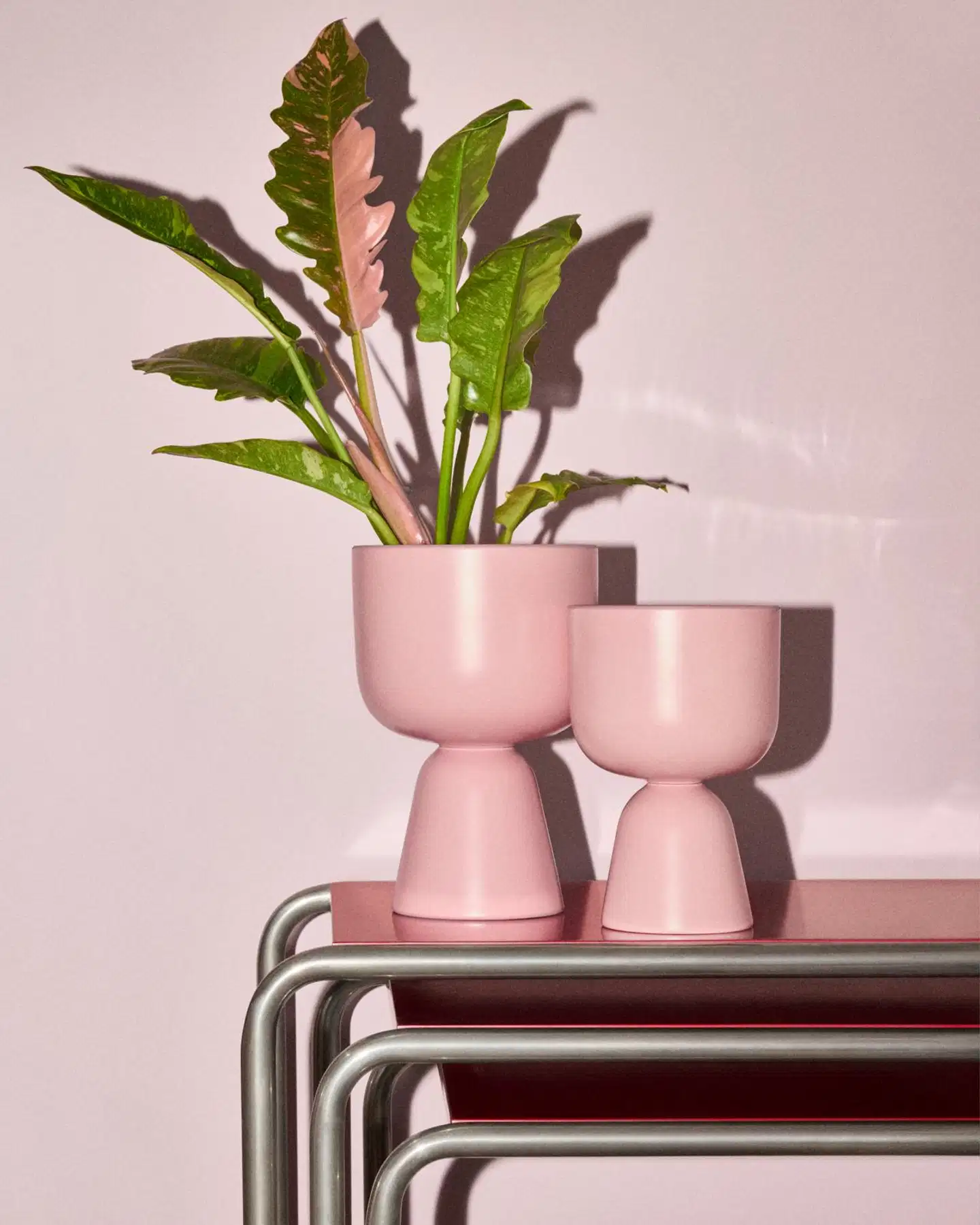 Iittala ruukku Nappula 190x125 mm matta ruusu - 3