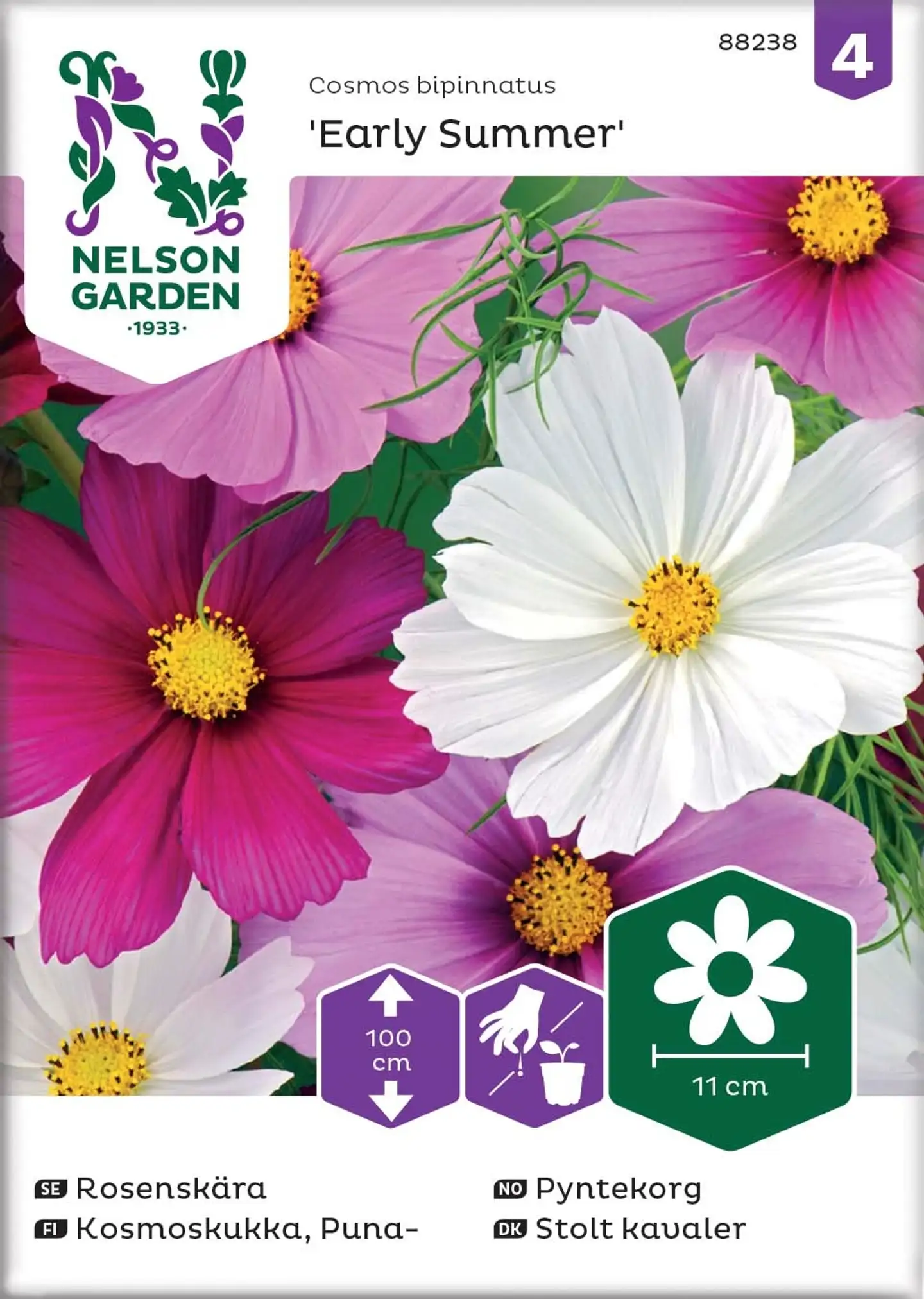 Nelson Garden Siemen Kosmoskukka, Puna-, Early Summer