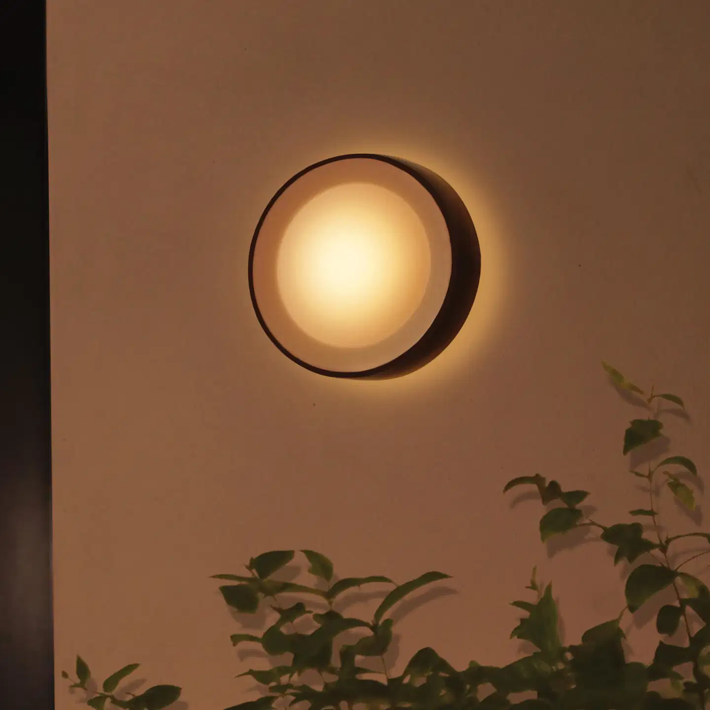 Philips Hue Daylo -seinävalaisin ulkokäyttöön 15W 2000-6500K 1060LM musta - 5