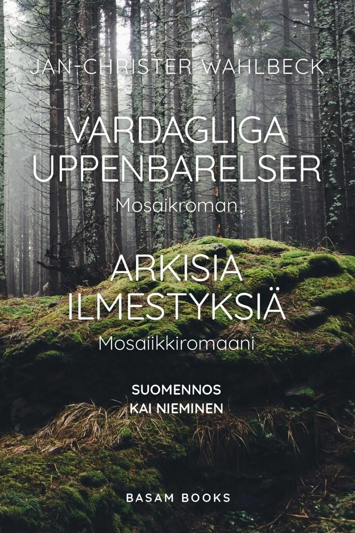 Wahlbeck, Vardagliga uppenbarelser / Arkisia ilmestyksiä - Mosaikroman / Mosaiikkiromaani