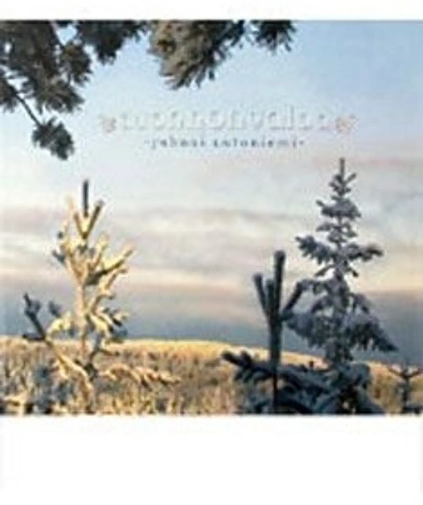 Latoniemi, Luonnonvaloa