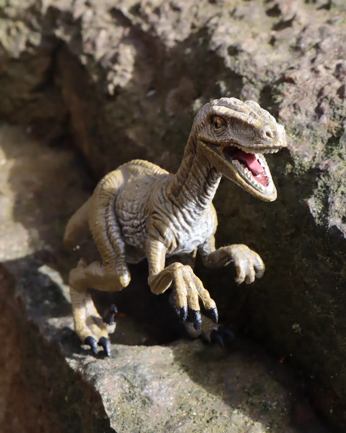 CollectA lelu Velociraptor M - 2