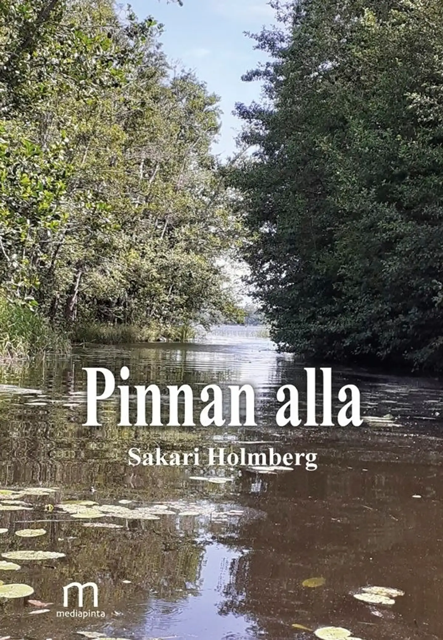 Holmberg, Pinnan alla