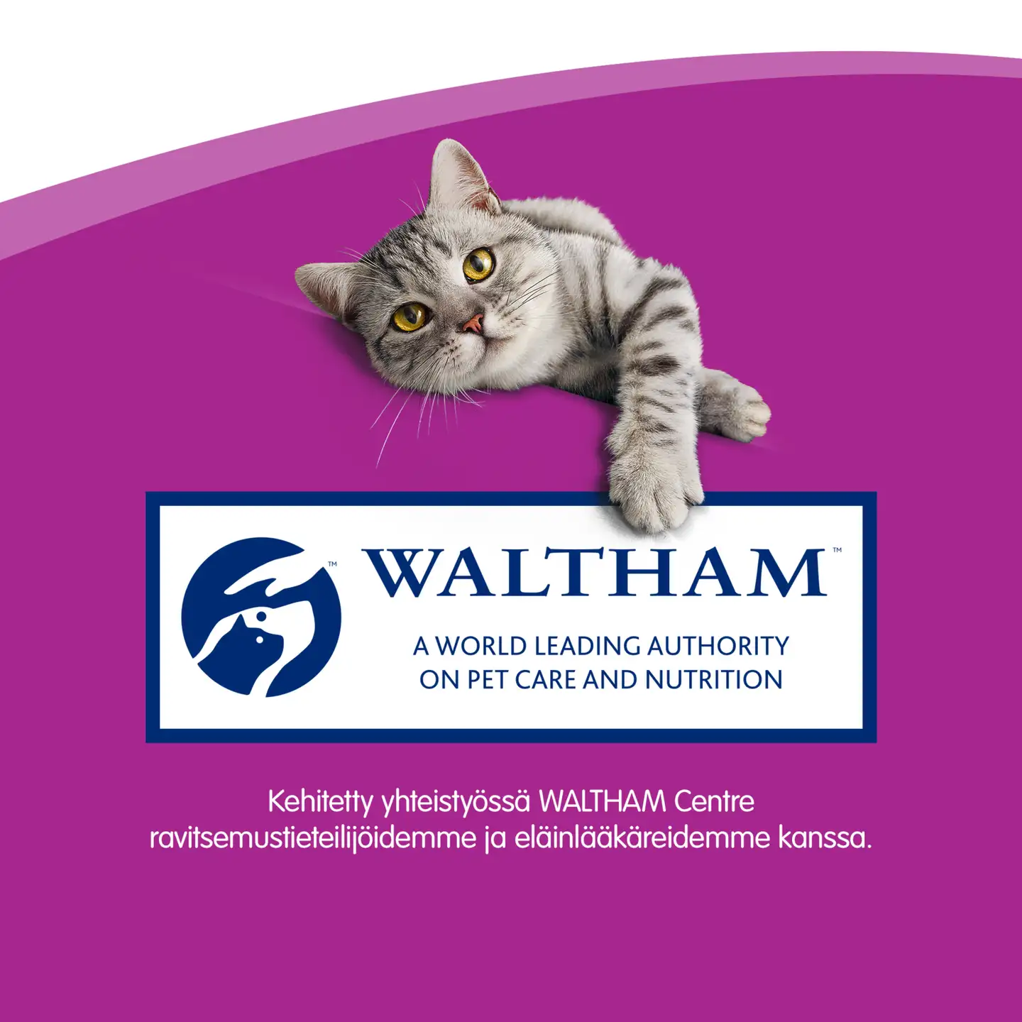 Whiskas Sticks Kana 3x6g - 7