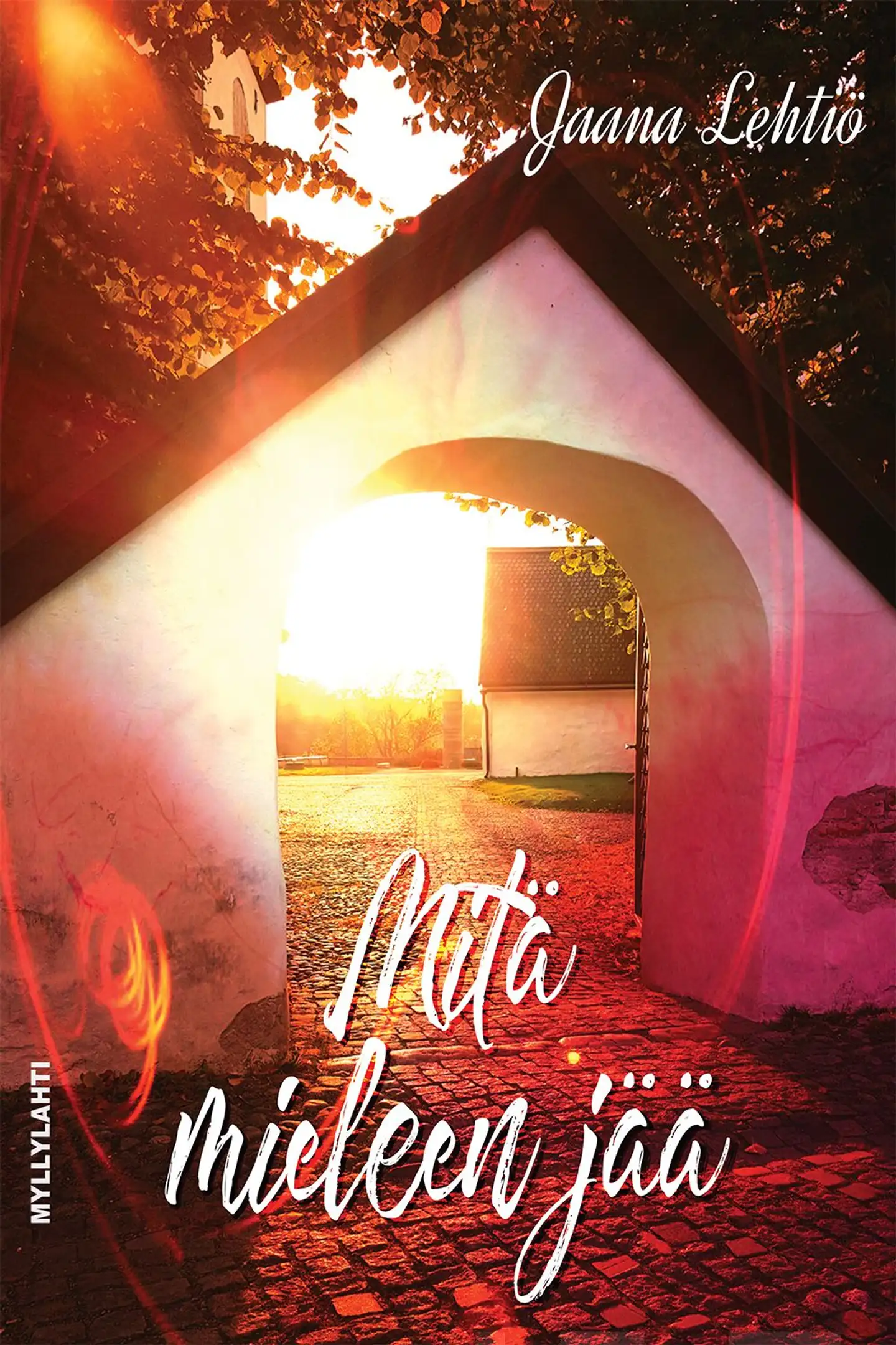 Lehtiö, Mitä mieleen jää - Jännitysromaani