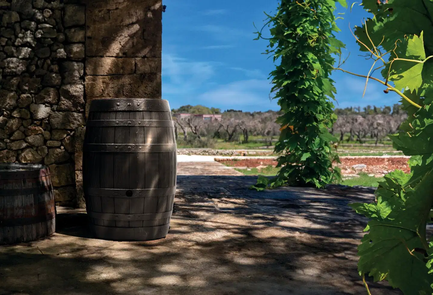 Waterform sadevesiastia Botaqua 250L - 2