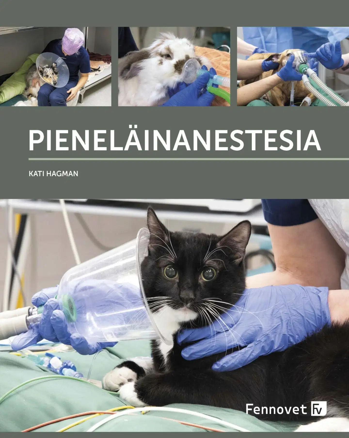Hagman, Pieneläinanestesia