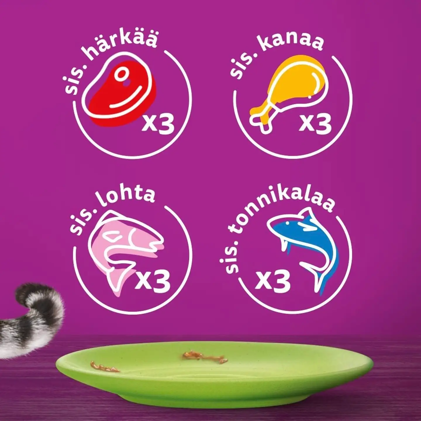 Whiskas 1+ Suosikit Lajitelma hyytelössä (12 x 85 g) - 3