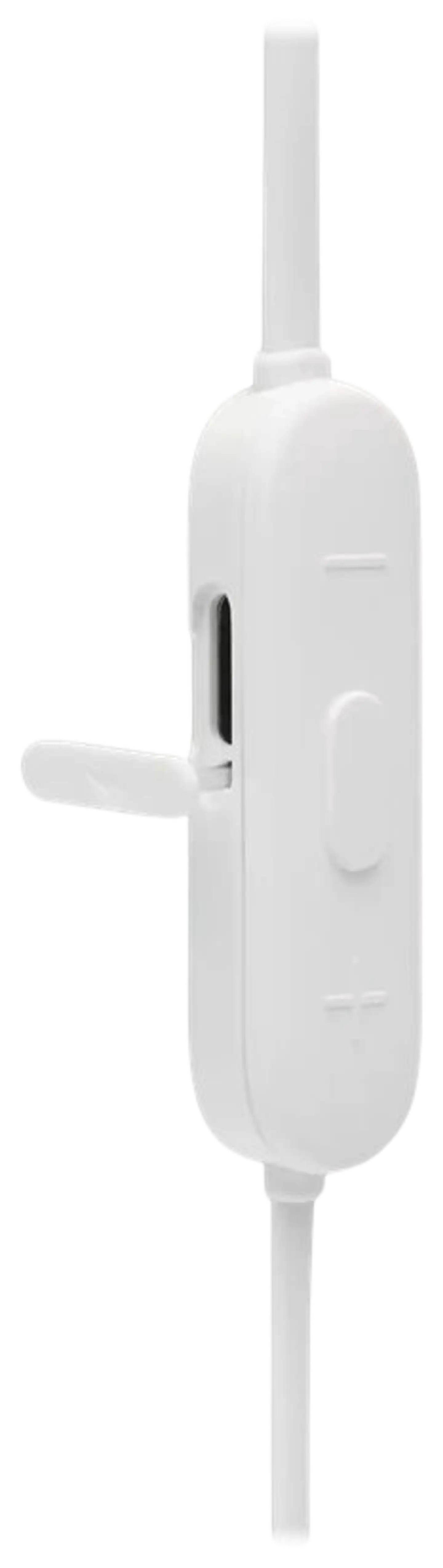 JBL kuulokkeet T125BT valkoinen - 6