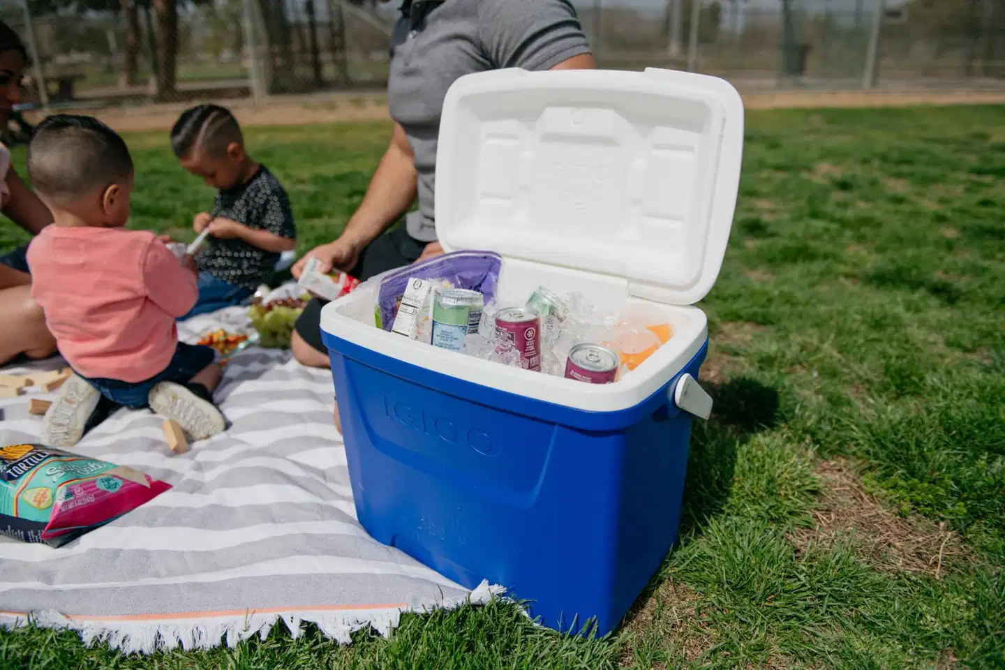 Igloo Laguna 27 l -kylmälaukku sininen - 6