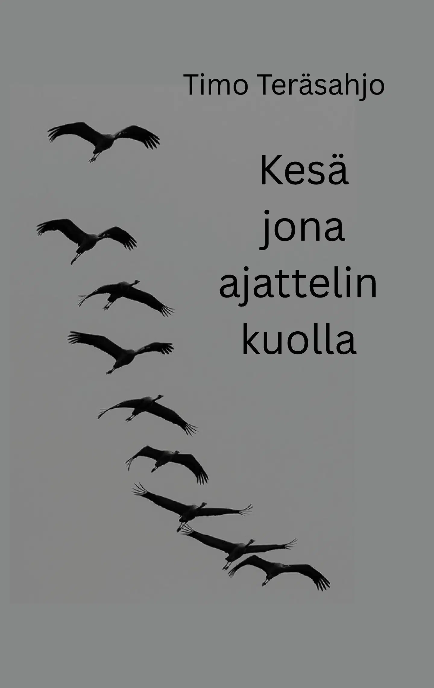 Teräsahjo, Kesä jona ajattelin kuolla