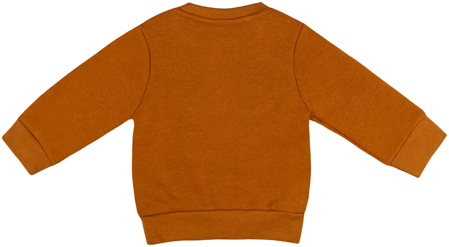 Ciraf vauvojen collegepusero Kettunen 250B254169 - Pumpkin spice - 2