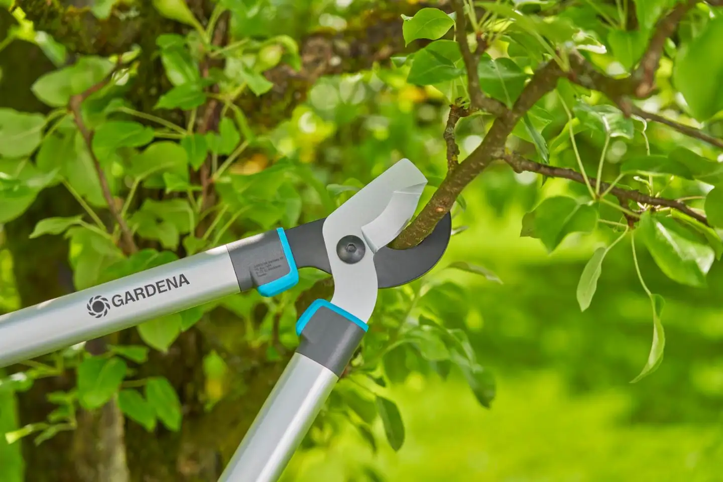Gardena raivaussakset easycut l - 5