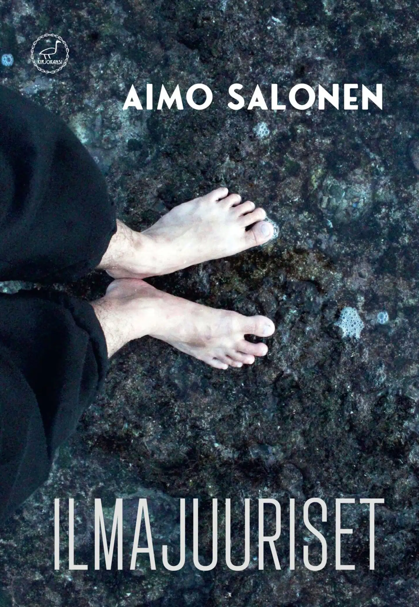 Salonen, Ilmajuuriset