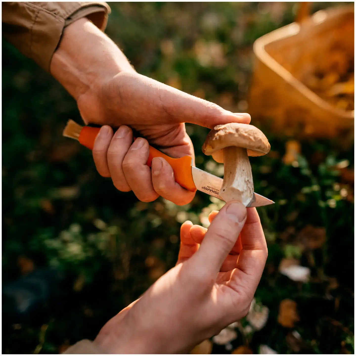 Fiskars sieniveitsi 21 cm oranssi - 5