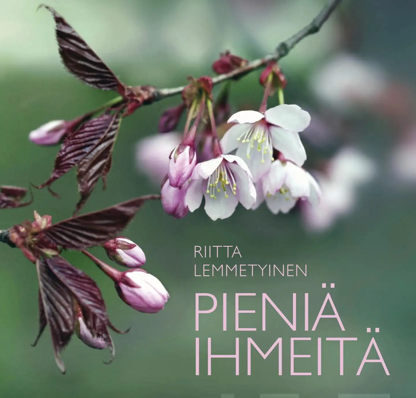 Lemmetyinen, Pieniä ihmeitä