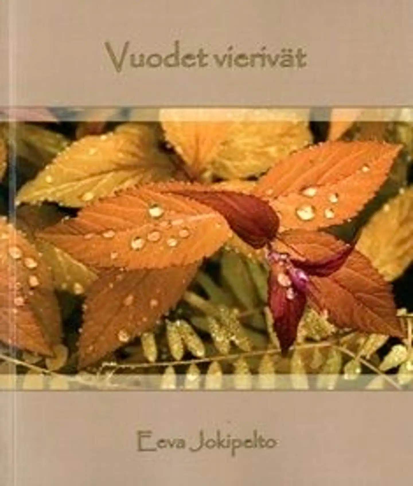 Jokipelto, Vuodet vierivät
