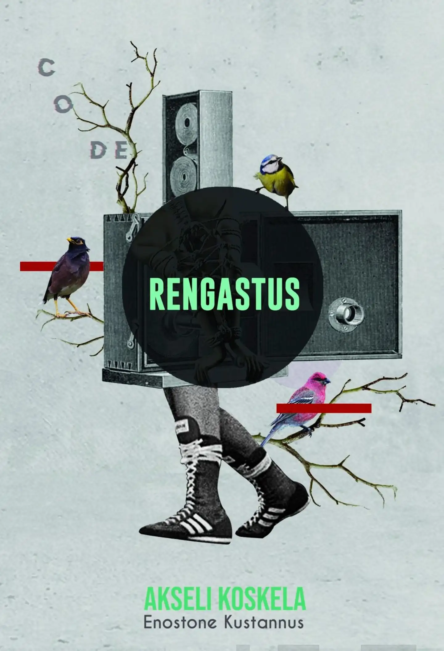 Koskela, Rengastus